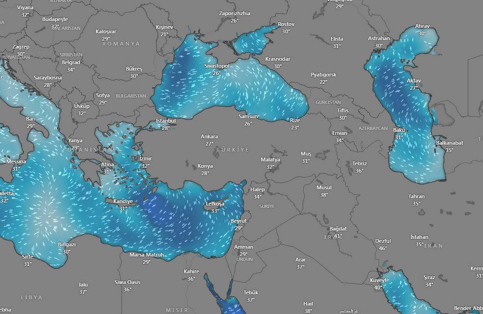 Doğu Karadeniz'de ‘sağanak’ alarmı: 4 il için sarı kodlu uyarı 11